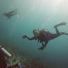 Picture taken during the dive