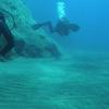 Picture taken during the dive