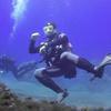 Picture taken during the dive
