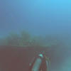 Picture taken during the dive