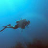 Picture taken during the dive