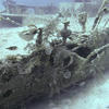 Picture taken during the dive