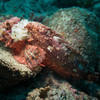 Picture taken during the dive