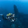 Picture taken during the dive