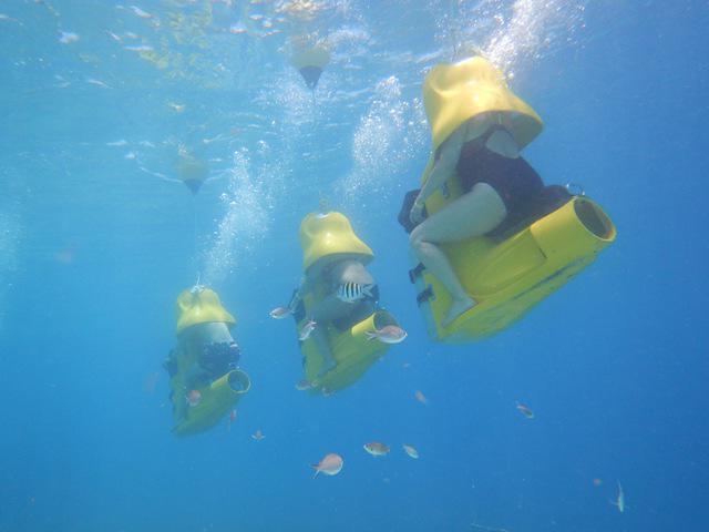 THE DIVESHOP Curacao - Dive Center in Netherlands Antilles