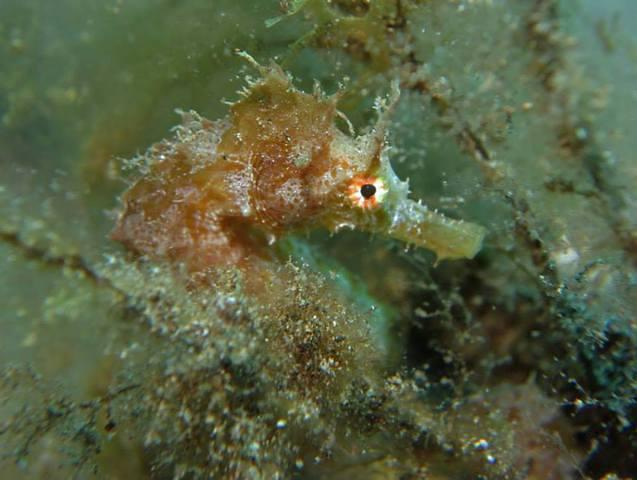 Aquasportdiving - Dive Center in Spain