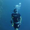 Picture taken during the dive