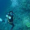 Picture taken during the dive