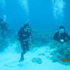 Picture taken during the dive