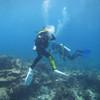 Picture taken during the dive