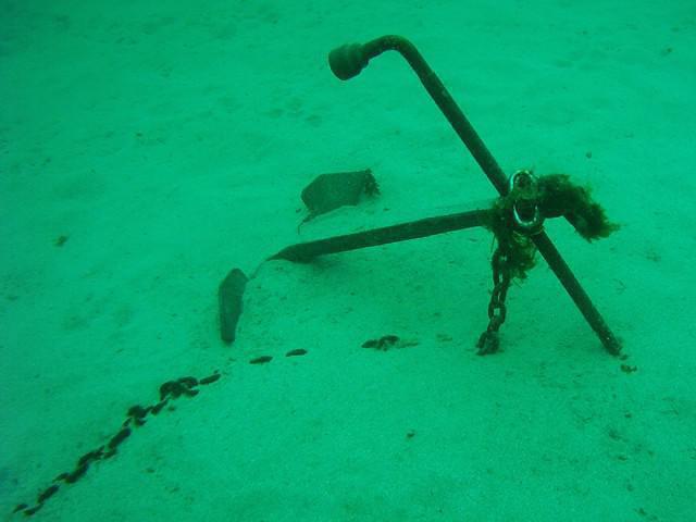 Les Plongeurs Du Cap - Dive Center in Francia