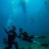 Picture taken during the dive