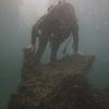 Picture taken during the dive