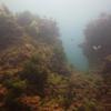 Picture taken during the dive