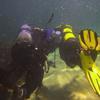 Picture taken during the dive