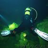 Picture taken during the dive