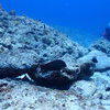 Picture taken during the dive