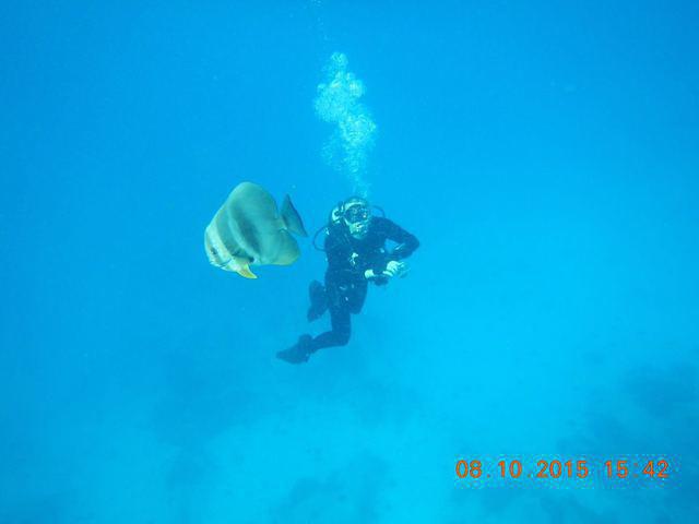 White Tip Divers - Dive Center in Seychelles