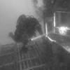 Picture taken during the dive