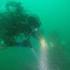Picture taken during the dive