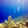 Picture taken during the dive
