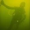 Picture taken during the dive