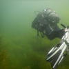 Picture taken during the dive