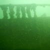 Picture taken during the dive