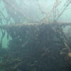 Picture taken during the dive