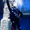 Picture taken during the dive