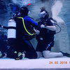 Picture taken during the dive