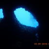 Picture taken during the dive