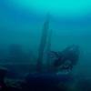 Picture taken during the dive