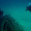 Picture taken during the dive