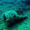 Picture taken during the dive