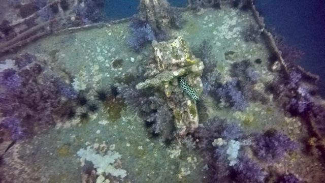Phi Phi Barakuda - Dive Center in Thailand