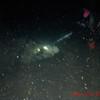 Picture taken during the dive