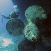 Picture taken during the dive