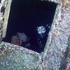 Picture taken during the dive