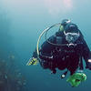 Picture taken during the dive