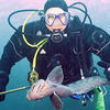 Picture taken during the dive