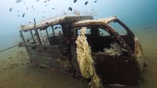Sea Explorers-Dauin - Dive Center