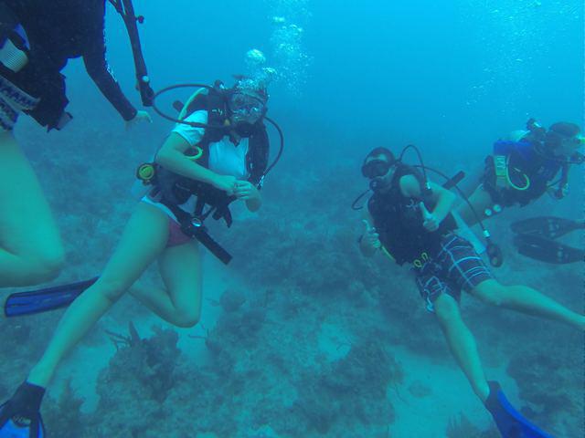 Divers Down - Dive Center in 开曼群岛