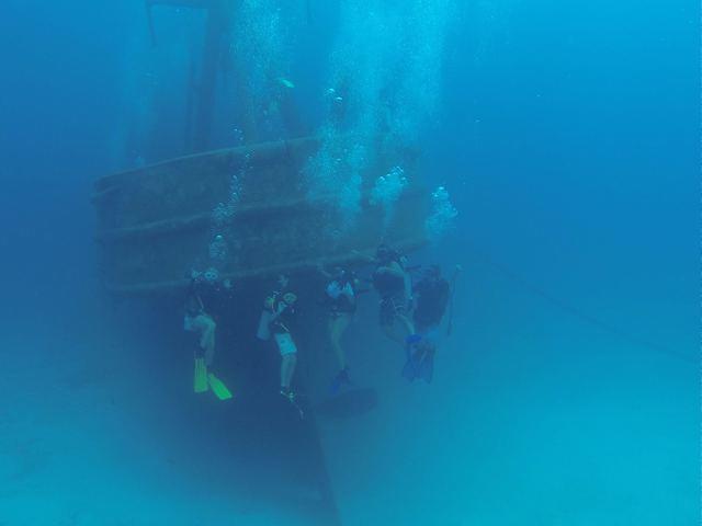 Divers Down - Dive Center in 开曼群岛