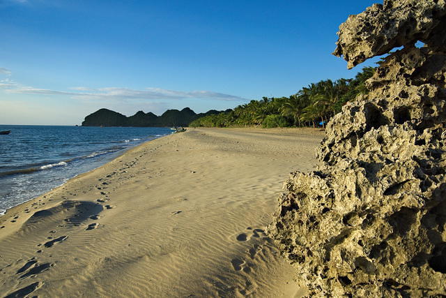 Scuba Planet Philippines - Dive Center in 菲律宾
