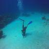 Picture taken during the dive