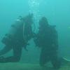 Picture taken during the dive