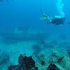 Picture taken during the dive