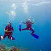 Picture taken during the dive