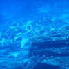 Picture taken during the dive